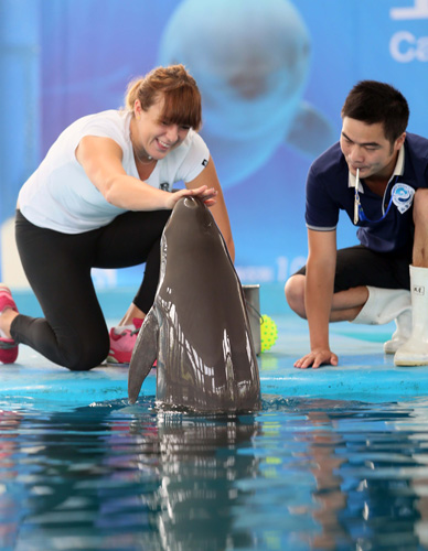 他的场均助 他的场均助