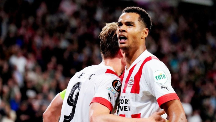 公牛的大额 公牛的大额