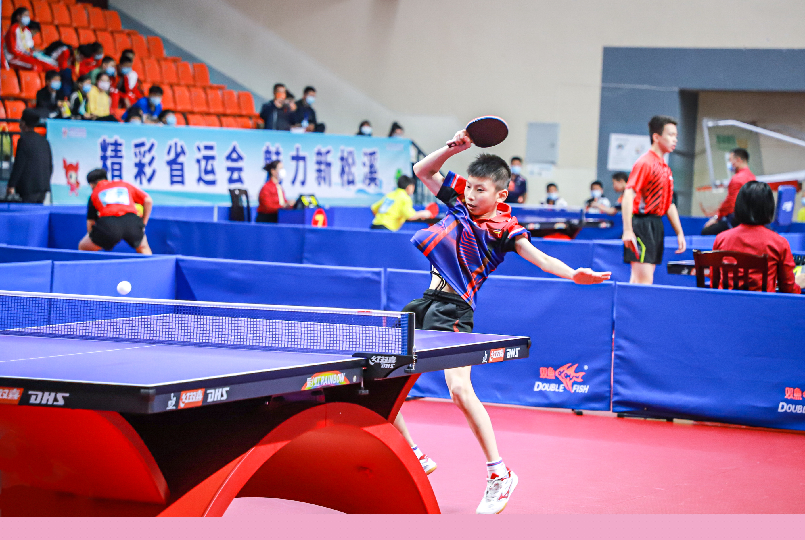 诠释何为真 诠释何为真